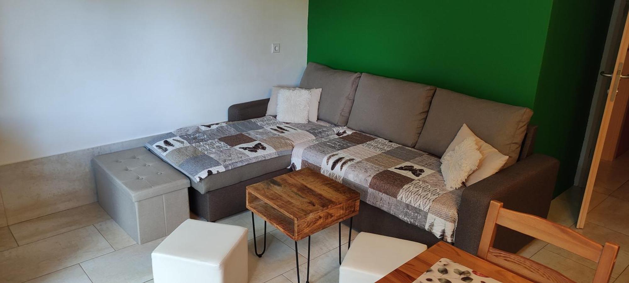 Planika B&M Apartment Bohinj Bagian luar foto