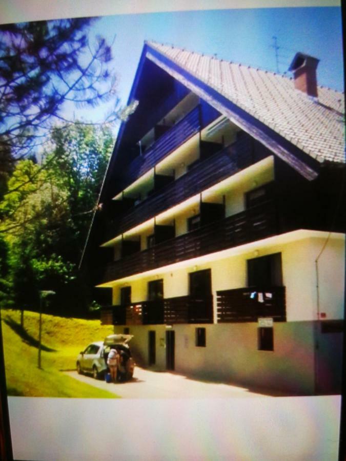 Planika B&M Apartment Bohinj Bagian luar foto