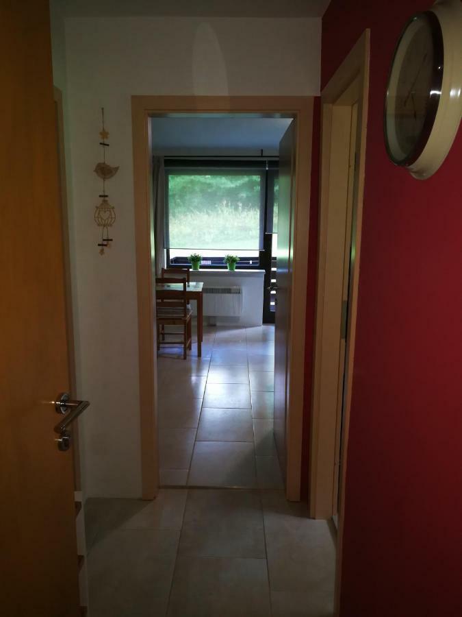 Planika B&M Apartment Bohinj Bagian luar foto