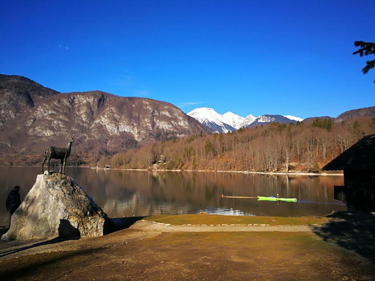Planika B&M Apartment Bohinj Bagian luar foto