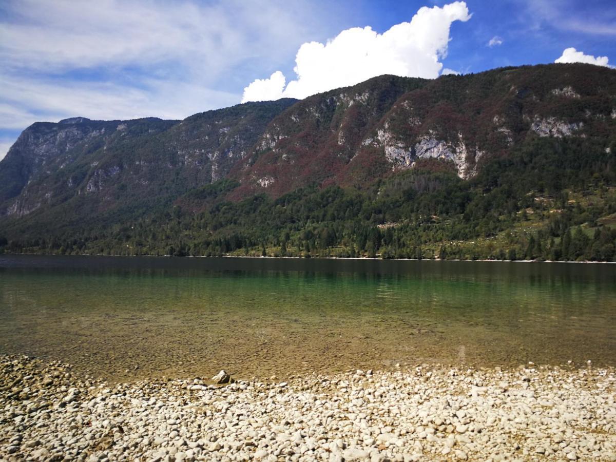 Planika B&M Apartment Bohinj Bagian luar foto
